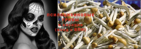 гашик Лиски