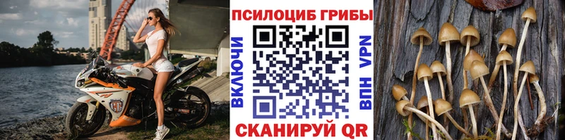 Купить закладки  Ардатов  Галлюциногенные грибы мухоморы 